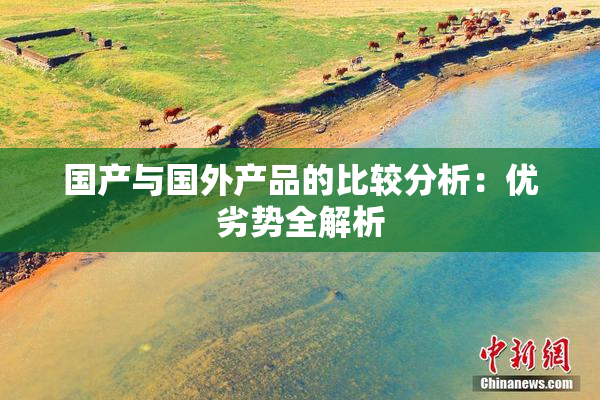 国产与国外产品的比较分析：优劣势全解析