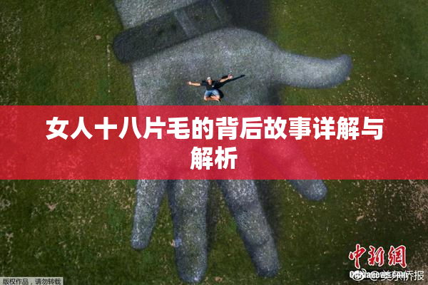 女人十八片毛的背后故事详解与解析