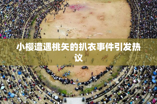 小樱遭遇桃矢的扒衣事件引发热议