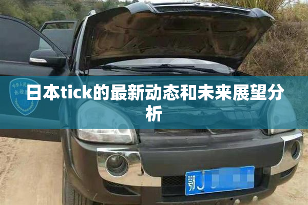 日本tick的最新动态和未来展望分析