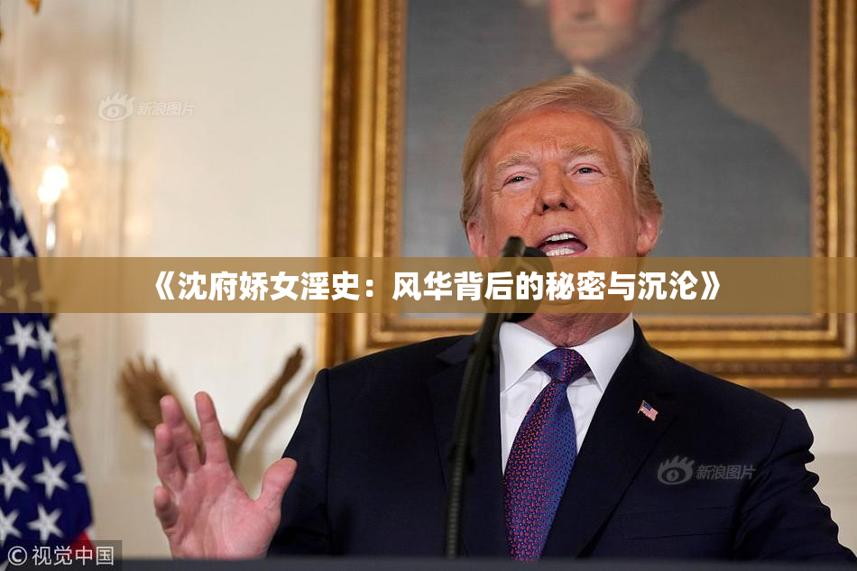 《沈府娇女淫史：风华背后的秘密与沉沦》