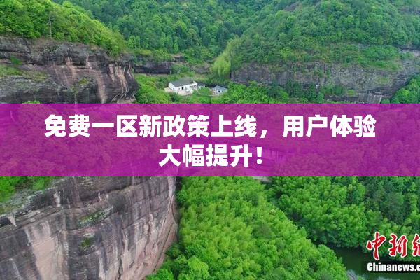 免费一区新政策上线，用户体验大幅提升！