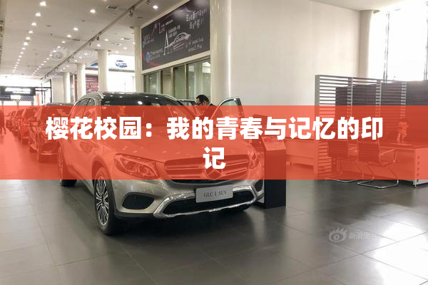 樱花校园：我的青春与记忆的印记