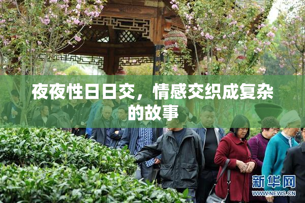 夜夜性日日交，情感交织成复杂的故事