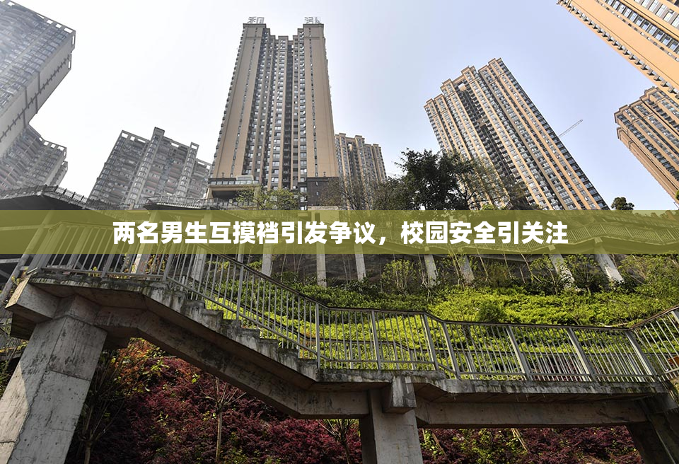 两名男生互摸裆引发争议，校园安全引关注