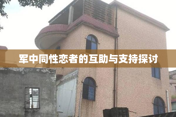 军中同性恋者的互助与支持探讨