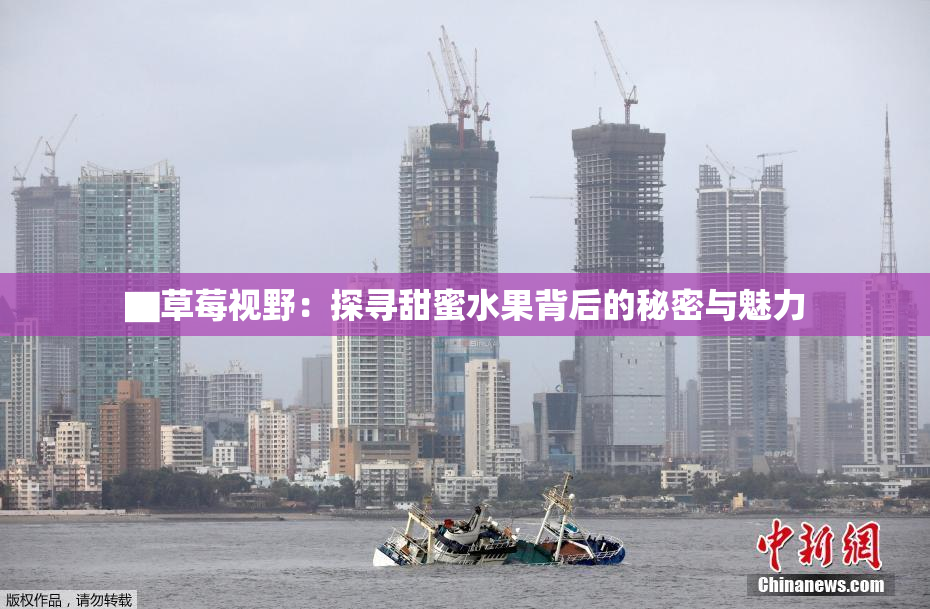 ▇草莓视野：探寻甜蜜水果背后的秘密与魅力