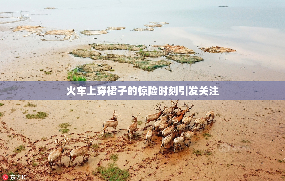 火车上穿裙子的惊险时刻引发关注