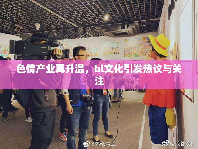 色情产业再升温，bl文化引发热议与关注