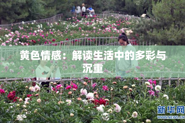 黄色情感：解读生活中的多彩与沉重