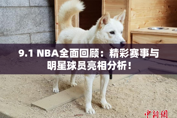 9.1 NBA全面回顾：精彩赛事与明星球员亮相分析！