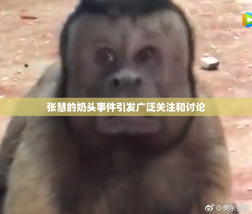 张慧的奶头事件引发广泛关注和讨论