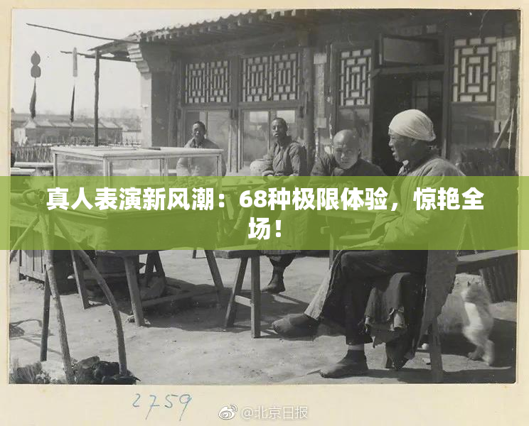 真人表演新风潮：68种极限体验，惊艳全场！