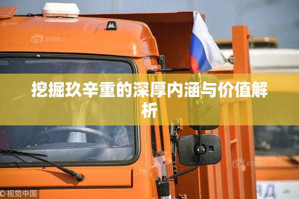 挖掘玖辛重的深厚内涵与价值解析