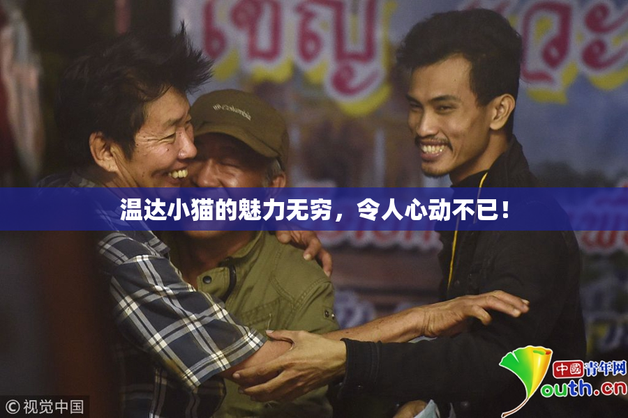 温达小猫的魅力无穷，令人心动不已！