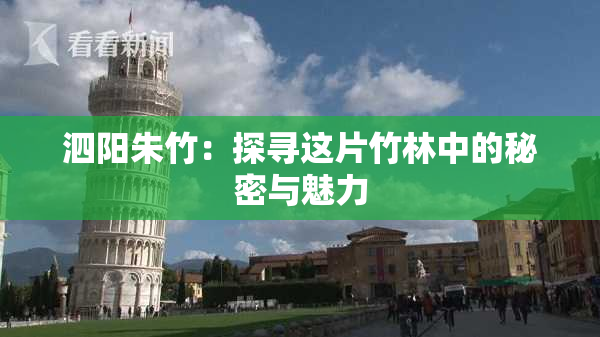 泗阳朱竹：探寻这片竹林中的秘密与魅力