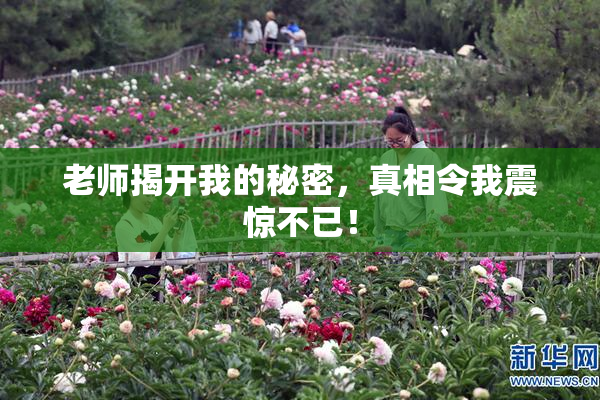 老师揭开我的秘密，真相令我震惊不已！