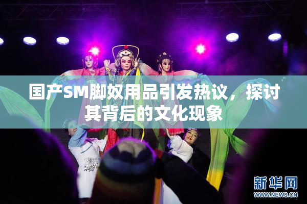 国产SM脚奴用品引发热议，探讨其背后的文化现象