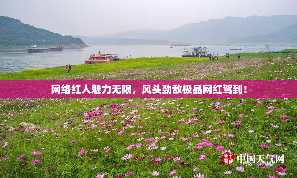 网络红人魅力无限，风头劲敌极品网红驾到！