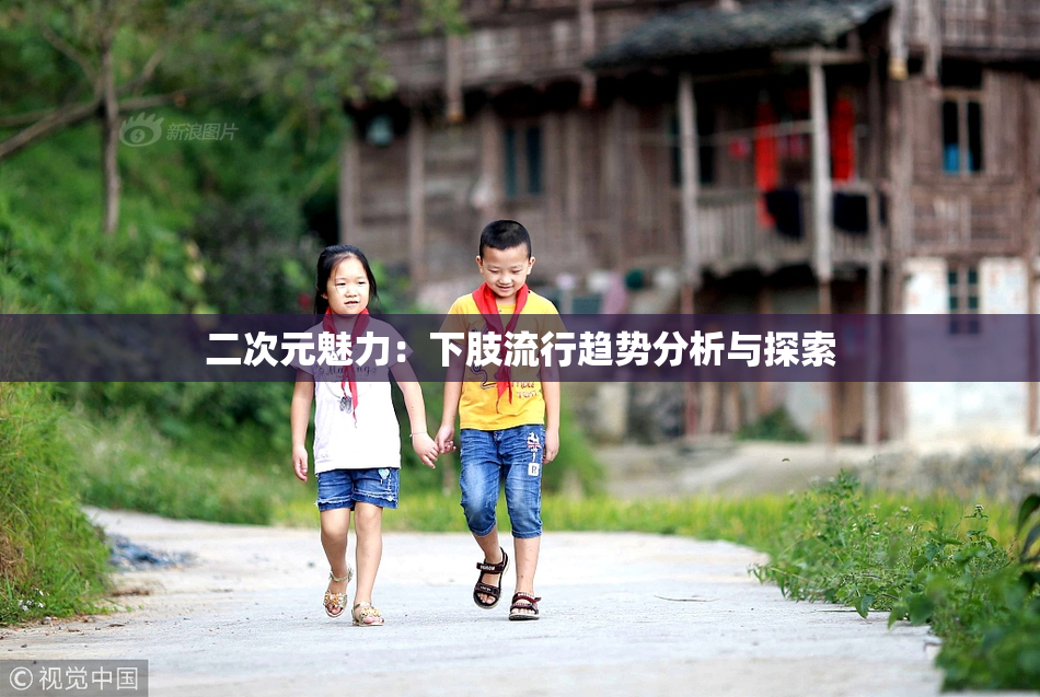 二次元魅力：下肢流行趋势分析与探索