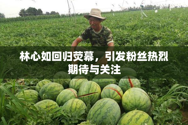 林心如回归荧幕，引发粉丝热烈期待与关注
