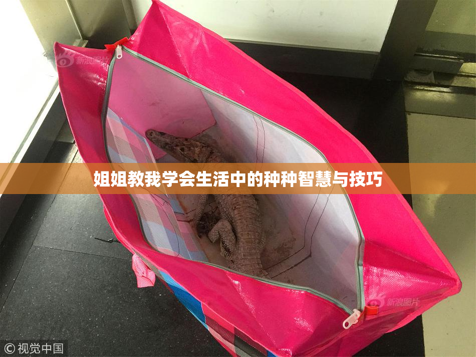 姐姐教我学会生活中的种种智慧与技巧