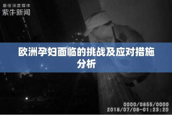 欧洲孕妇面临的挑战及应对措施分析