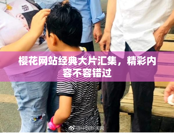 樱花网站经典大片汇集，精彩内容不容错过
