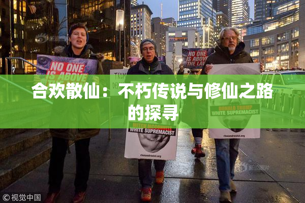 合欢散仙：不朽传说与修仙之路的探寻