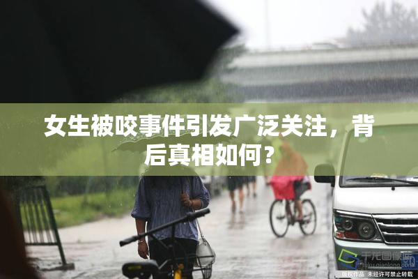 女生被咬事件引发广泛关注，背后真相如何？