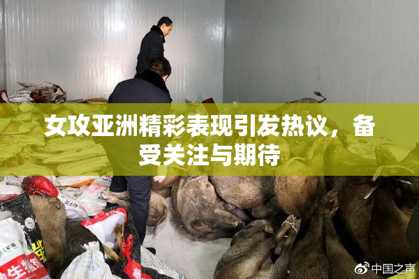 女攻亚洲精彩表现引发热议，备受关注与期待