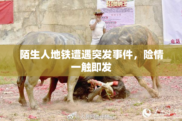 陌生人地铁遭遇突发事件，险情一触即发