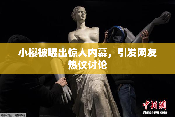小樱被曝出惊人内幕，引发网友热议讨论