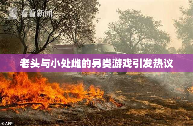 老头与小处雌的另类游戏引发热议