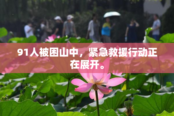 91人被困山中，紧急救援行动正在展开。