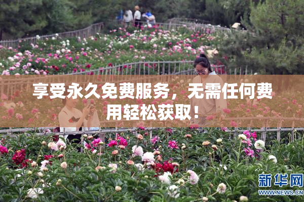 享受永久免费服务，无需任何费用轻松获取！