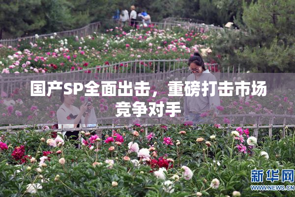 国产SP全面出击，重磅打击市场竞争对手