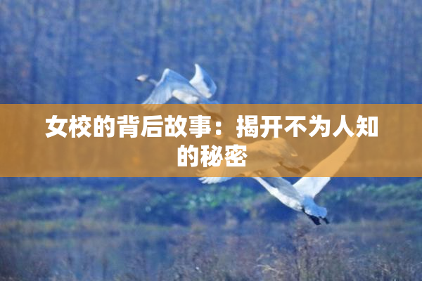 女校的背后故事：揭开不为人知的秘密