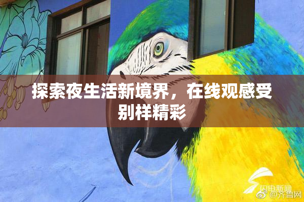 探索夜生活新境界，在线观感受别样精彩
