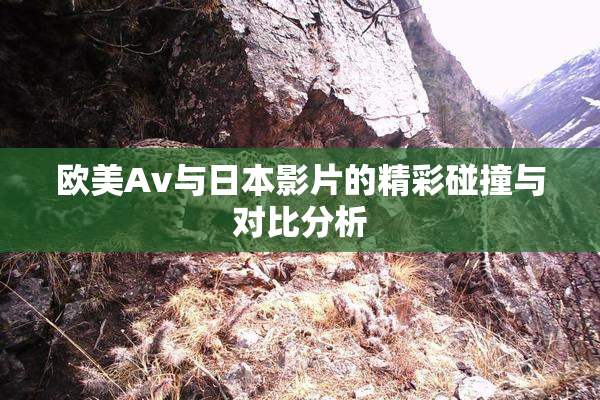 欧美Av与日本影片的精彩碰撞与对比分析