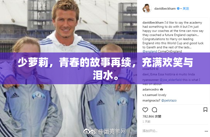 少萝莉，青春的故事再续，充满欢笑与泪水。