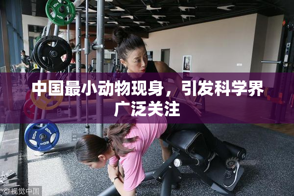中国最小动物现身，引发科学界广泛关注