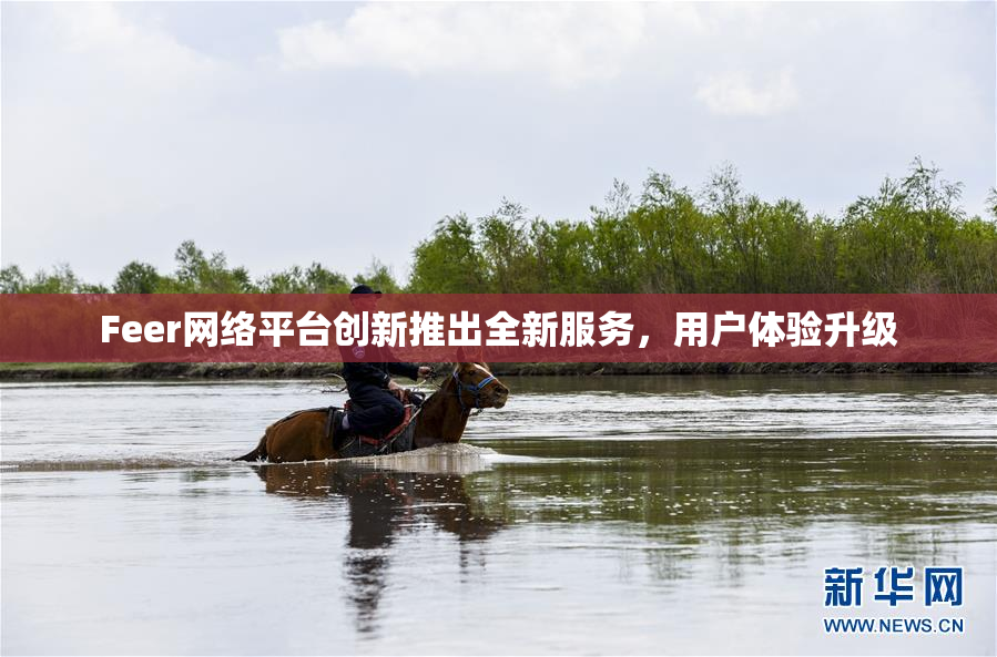 Feer网络平台创新推出全新服务，用户体验升级