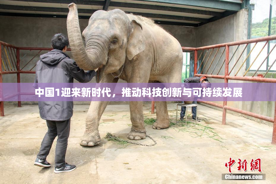 中国1迎来新时代，推动科技创新与可持续发展