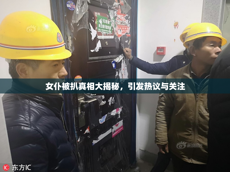 女仆被扒真相大揭秘，引发热议与关注