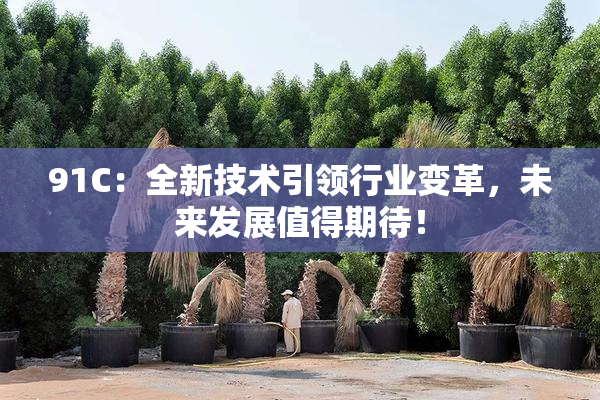 91C：全新技术引领行业变革，未来发展值得期待！