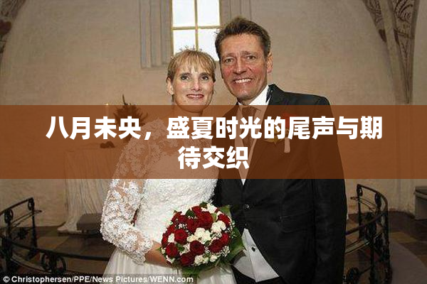 八月未央，盛夏时光的尾声与期待交织
