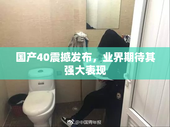 国产40震撼发布，业界期待其强大表现