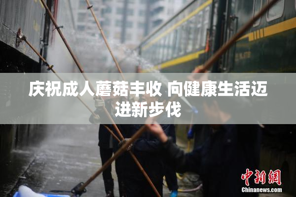 庆祝成人蘑菇丰收 向健康生活迈进新步伐