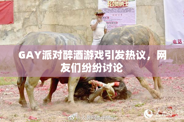 GAY派对醉酒游戏引发热议，网友们纷纷讨论